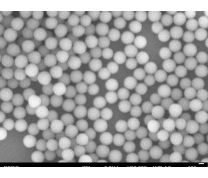 Microsphères de silice AngstromSphere, 0.20um (1Kg)